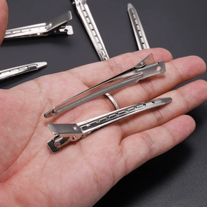 Pinze professionali in metallo argento per parrucchieri e accessori per capelli fai-da-te