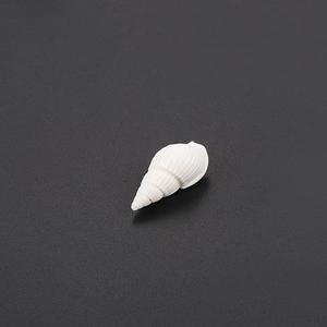 Primer plano de una concha de caracol blanca con espirales para decorar acuarios