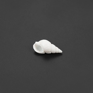 Concha de mar en espiral blanca natural para manualidades y decoración de acuarios