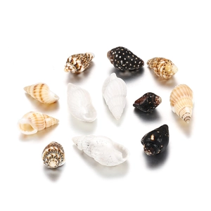 Set de 11 conchas marinas naturales mixtas para acuarios y manualidades creativas