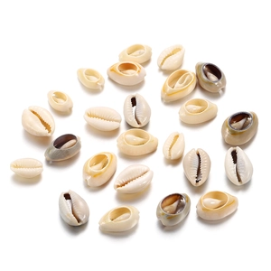 Set of natural golden cowrie shells for DIY jewelry making and aquarium decoration