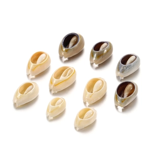 Natural cowrie shells with golden rings for DIY jewelry making set of ten pieces