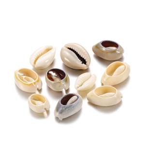 Macro view of natural ivory cowrie shells with polished finish for DIY jewelry crafts