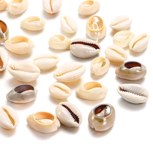 Natural gold-edged cowrie shells with cutouts for DIY jewelry and aquarium decor