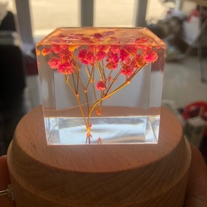 Detail of pink dried flowers inside resin cube with an elegant LED wooden light base