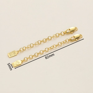 Detail of 18K gold-plated necklace extension chain with lobster clasp and royal coin charm