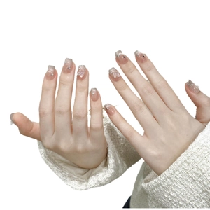 Faux ongles rose dégradé avec effet œil de chat, papillons 3D et dessins d'étoiles