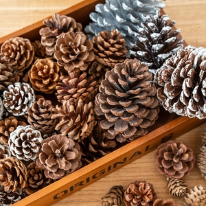 Sortierte natürliche und schneebedeckte Zapfen in Holztablett für Weihnachtsdekoration