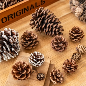 Natürliche Zapfen mit weißem Schneeeffekt auf Holzhintergrund für Weihnachtsdeko