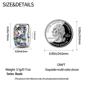 Confronto dettagliato delle dimensioni tra charm in argento con zirconi e una moneta