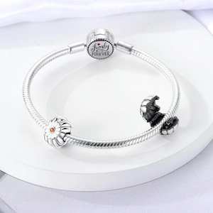 Primer plano de dijes de margaritas en pulsera de plata con cierre grabado de Family