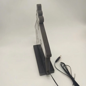 Detail view of the LED neon light with black USB power cable and stable plastic base