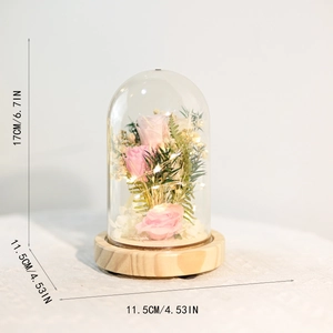 Detailed view of pink preserved roses with LED fairy lights in a 17cm glass dome