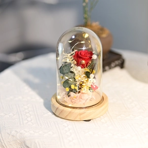 Macro detail of red preserved rose with warm LED lights inside a clear glass dome