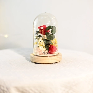 Detailed view of red preserved roses with warm LED lights in a clear glass dome