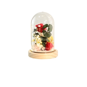 Preserved red roses in a glass dome with LED lights on a wooden base for gift