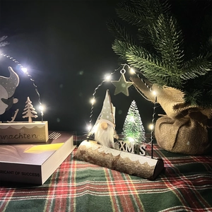 Close-up of a Christmas gnome LED night light with a natural wood base and XMAS motif