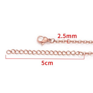 2,5 mm roségouden roestvrijstalen O-ketting met 5 cm verlenging en karabijnsluiting
