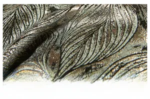 Detail of premium champagne gold and black jacquard fabric with feather texture