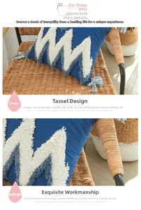 Détail de glands faits main et motif géométrique touffeté sur la housse de coussin en coton