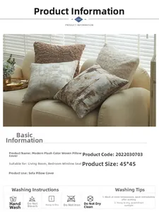 Détail de la housse de coussin moderne en peluche 45x45cm et guide de lavage sur canapé