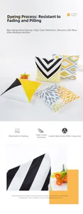 Détails de la housse de coussin géométrique en soie artificielle avec haute tenue des couleurs