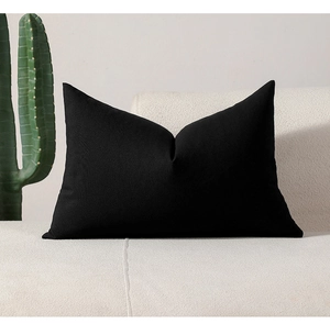Close-up of minimalist black rectangular cushion cover on a beige sofa with a cactus