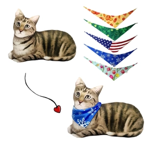 Tabby cat wearing seasonal holiday bandanas including Halloween pumpkin and winter snowflake