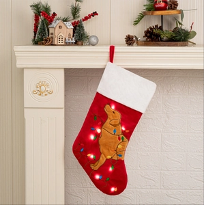 Calza di Natale Luminosa a LED in Velluto Rosso Con Ricamo Cane Golden Retriever Bordo in Peluche Decorazione Camino Regalo