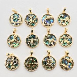 Sternzeichen Natürliche Abalone Weiß Perlmutt Anhänger Vergoldete Kupfer Runde Charms für DIY Schmuckherstellung