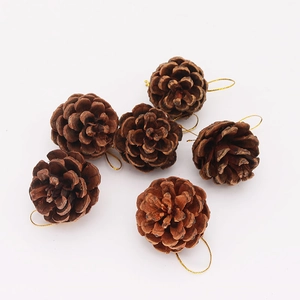 Detail of six natural pine cones with golden strings for Christmas tree decoration