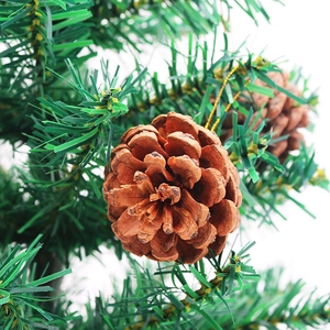 Macro shot of natural pine cone ornaments with golden hanging strings on green tree branches