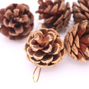 Macro shot of natural pine cones with gold hanging wire for Christmas tree decoration