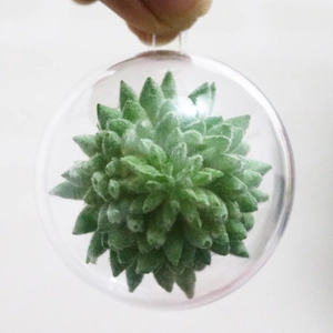 Macro di una palla di Natale in plastica trasparente con succulenta e gancio per appendere