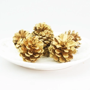Golden lacquered pine cones on a white ceramic plate for Christmas tree decoration