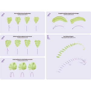 Cake piping guide showing icing leaf techniques and nozzle tips 67 68 352 104