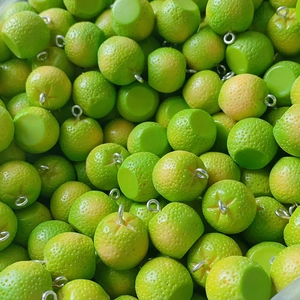 DIY resin mini green lime pendants with metal rings for making jewelry and keychains