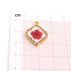 Detailed macro view of a red dried flower pendant with golden alloy frame on a grid