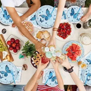Blue butterfly theme disposable tableware set for girls birthday party with silver accents