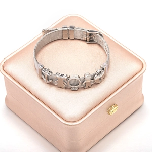 Silver mesh bracelet with symbolic sliders and adjustable buckle on luxury jewelry box