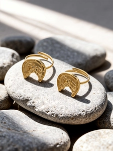 Dettagli macro di anelli placcati oro 18k con rilievo a ferro di cavallo e testa di cavallo