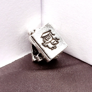 Detailaufnahme der antiken silbernen Eule auf Büchern für DIY Armbänder und Schmuck