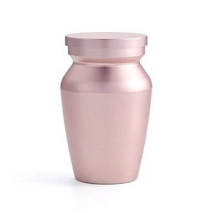 Urne funéraire minimaliste pour animaux en acier inoxydable or rose au fini mat