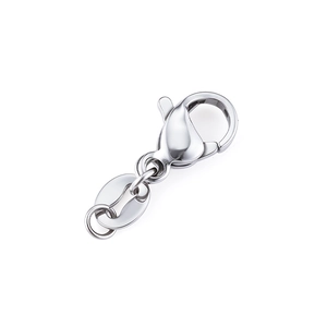 Silver stainless steel lobster clasp set with jump rings and oval tag for DIY jewelry