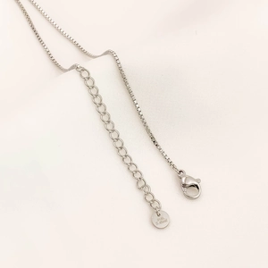 Detail van 316L roestvrijstalen box ketting met kreeftsluiting en verlengketting