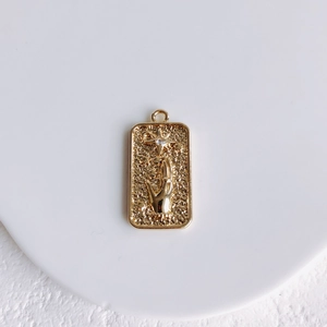 Detail of a rectangular gold-plated pendant with star and palm relief design