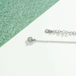 Polished silver 316L stainless steel necklace chain with lobster clasp and extension