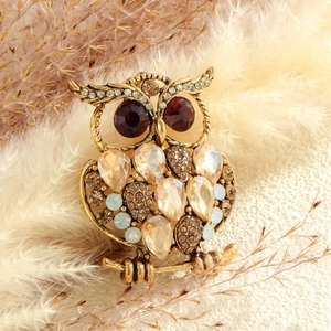 Cute cartoon owl brooch with gold plating and sparkling colorful rhinestones on pampas grass