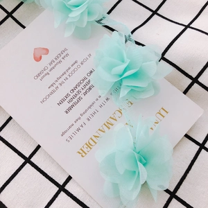Macro detail of mint green chiffon 3D flower lace trim for DIY wedding craft accessories