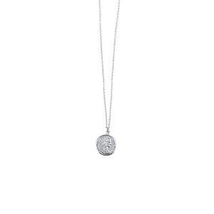 Close-up of silver coin pendant necklace with Elizabeth II profile engraving